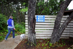 Surfrider Resort - Beach Access