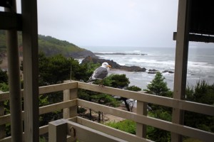 Surfrider Resort - Soak In The View